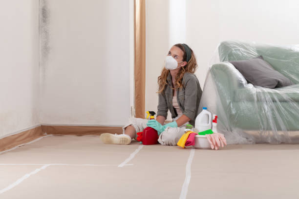 Reliable Mold Remediation contractor in Battle Ground, WA by Car Mold Remediation